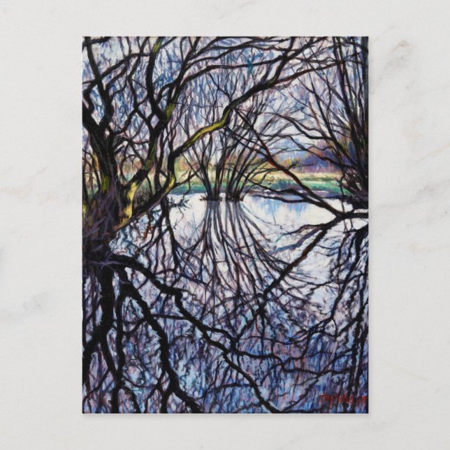 Pond Reflections 2009 Postkarte (Vorderseite)