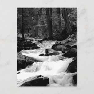 Pond Run Creek Postkarte