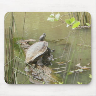 Pond Turtle Mousepad