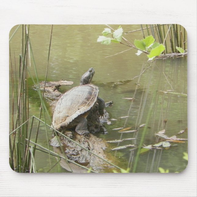Pond Turtle Mousepad (Vorne)