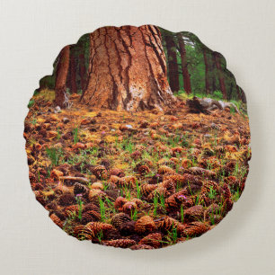 Ponderosa-Baum mit Kiefern Rundes Kissen