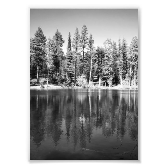 Ponderosa Kiefern Reflexionsfoto Fotodruck (Vorne)