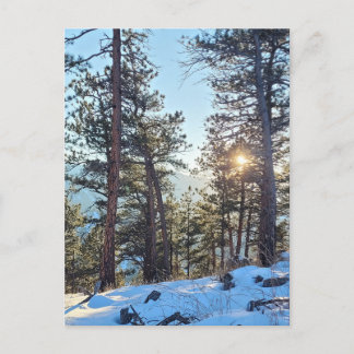 Ponderosa Shine Colorado Bergsee-Zauber Postkarte