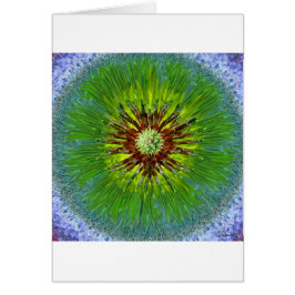 Ponderosa Sonnendurchbruch-Mandala