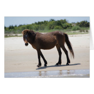 Poney responsable