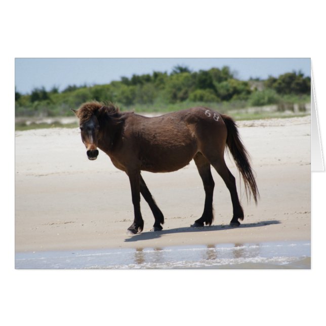 Poney responsable (Devant horizontal)