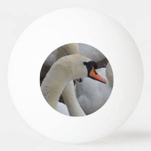 Pong Balle de ping à trois étoiles de cygne blanc