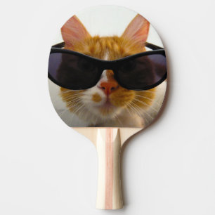 Pong Chat Cool Avec Lunettes De Soleil Raquette De Ping