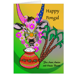 Pongal für Tante und Onkel mit Kuh und Reis