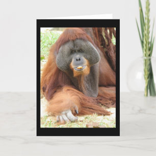 Pongo-Orang-Utan Affen-Gruß-Karte Karte