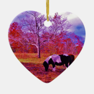 PONIEN IN EINEM RAINBOW-FELD KERAMIK ORNAMENT