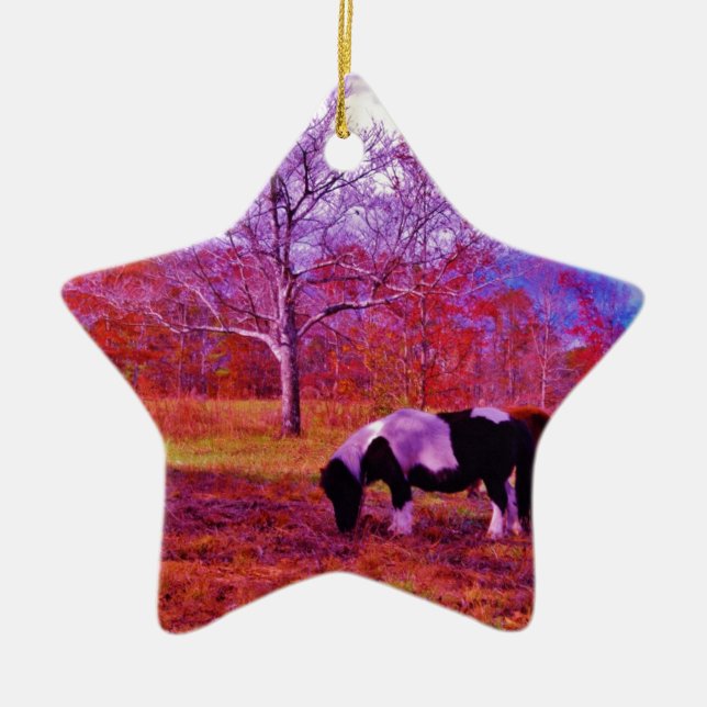PONIEN IN EINEM RAINBOW-FELD KERAMIK ORNAMENT (Vorne)