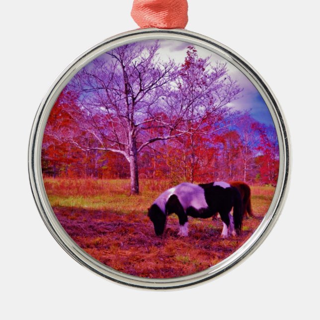 PONIEN IN EINEM RAINBOW-FELD SILBERNES ORNAMENT (Vorne)