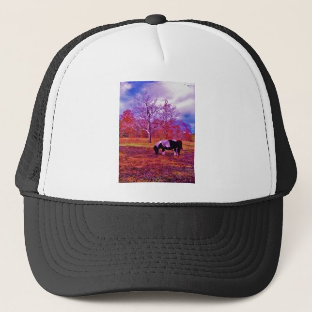 PONIEN IN EINEM RAINBOW-FELD TRUCKERKAPPE (Vorderseite)