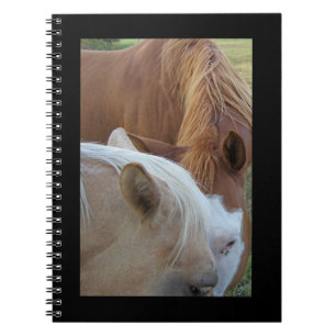 Ponies Notebook Notizblock