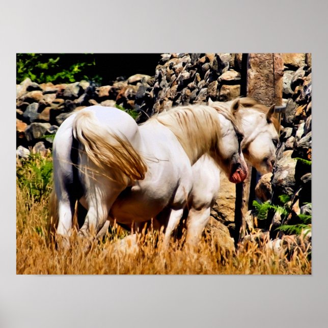 PONIES POSTER (Vorne)