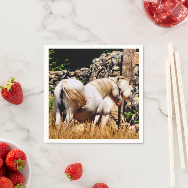 PONIES SERVIETTE (Beispiel)