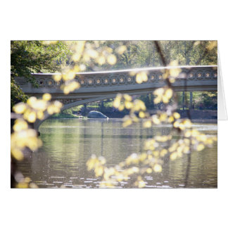 Pont d'arc en été