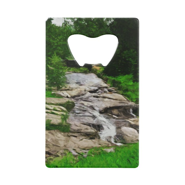 Pont de pied au-dessus des cascades du ruisseau Ro (Devant)