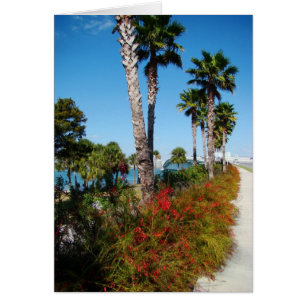 Pont de Sarasota Ringling