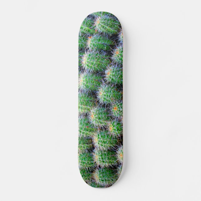 pont de skateboard de cactus (Recto)
