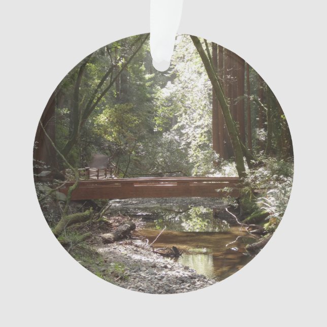 Pont Muir Woods II (devant)