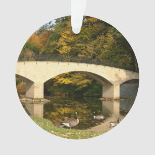 Pont Rainbow à l'automne au Grove City College