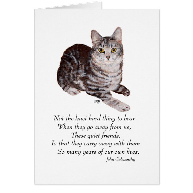 Pont Rainbow Tabby Cat (Devant)