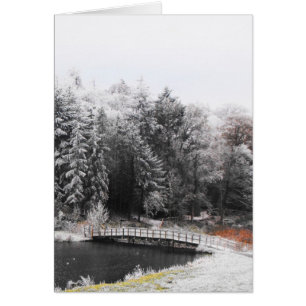 Pont sur une carte du matin gelée