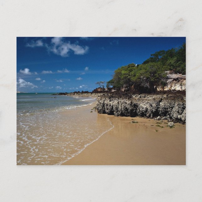 Ponta Negra Beach, Natal, Brasilien Postkarte (Vorderseite)