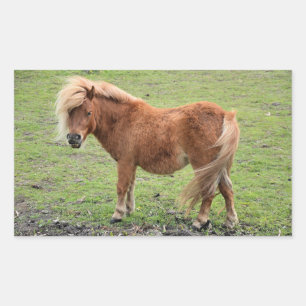 Pony Aufkleber