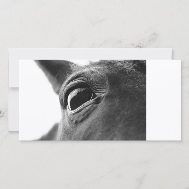 Pony-Auge 1 (Vorderseite)