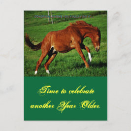 Pony Birthday Postcard Postkarte