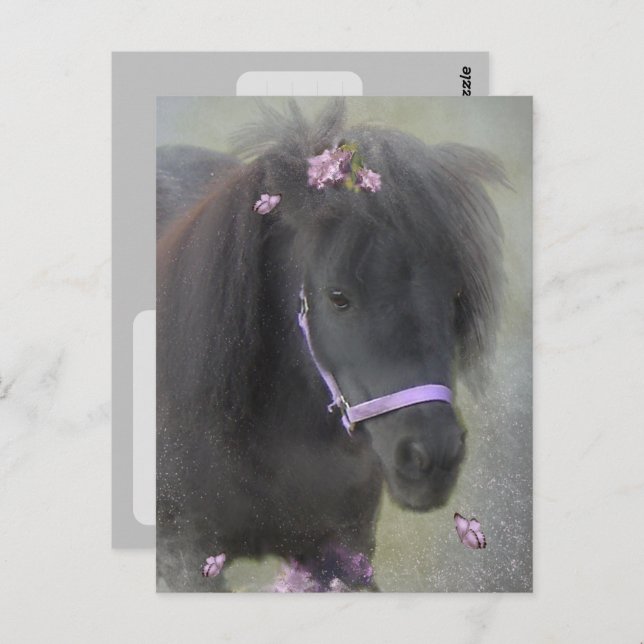 Pony - Carte postale (Devant / Derrière)