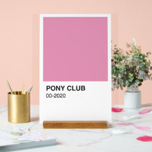 Pony Club Chanson Couleur rose - Arrière - plan bl