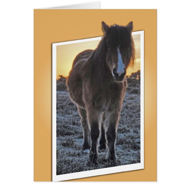 Pony Cut-out-Karte (Vorne)