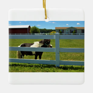 Pony Foto Keramikornament