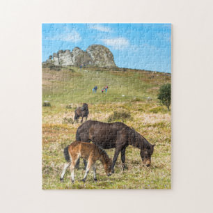 Pony Haytor rock in Dartmoor national park Devon
