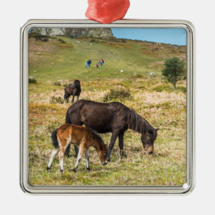 Pony Haytor rock in Dartmoor national park Devon Ornament Aus Metall
