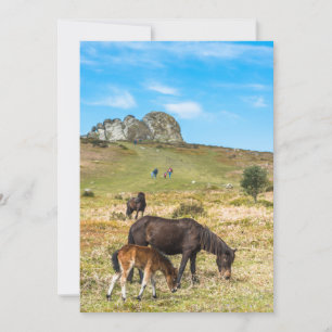 Pony Haytor rock in Dartmoor Nationalpark Devon Feiertagskarte