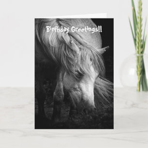 Pony Head et la carte d'anniversaire Mane