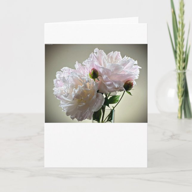 Pony, Karte (Vorderseite)