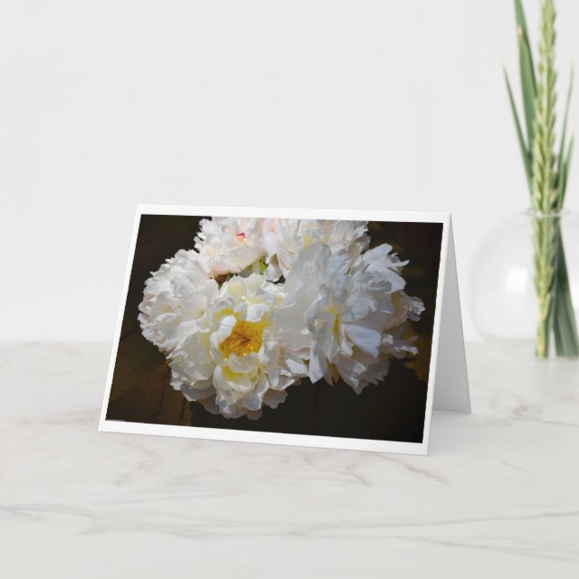 Pony, Karte (Vorderseite)