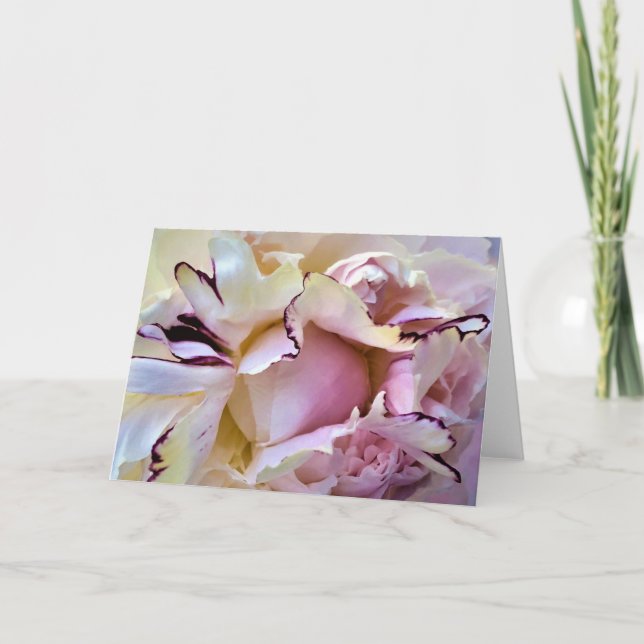 Pony, Karte (Vorderseite)