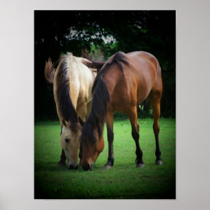 Pony Liebe Poster
