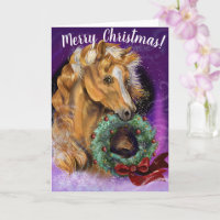 Pony mit Weihnachtskranz