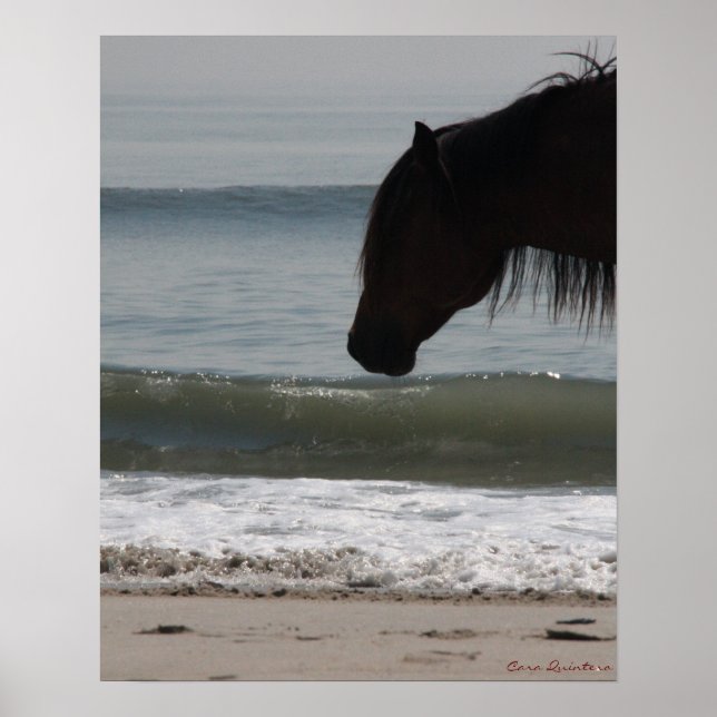 Pony on Beach Poster (Vorne)