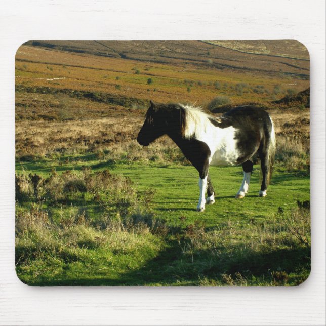 Pony on Dartmoor Mousepad (Vorne)