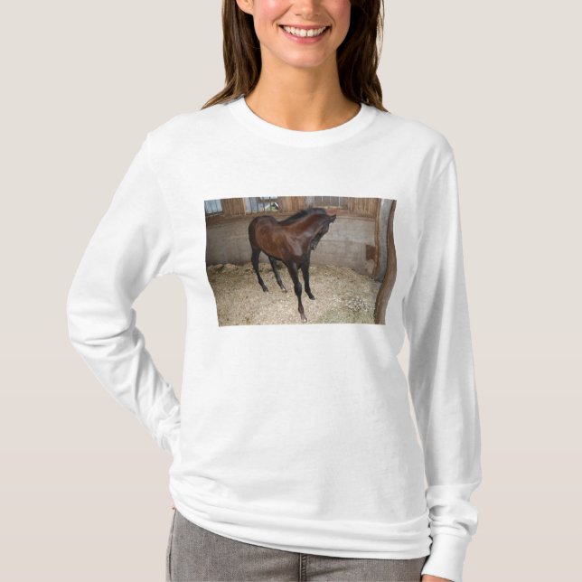 Pony/Pferd T-Shirt (Vorderseite)
