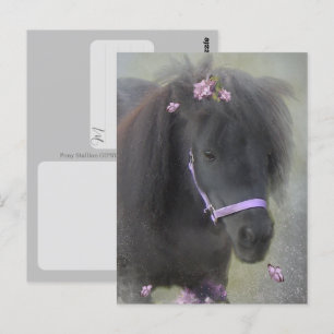 Pony - Postkarte